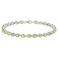 Paraiba-Turmalin-Silberarmband