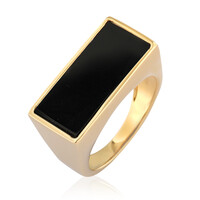 Schwarzer Onyx-Silberring (de Melo)