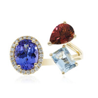 Edelstein-Goldring (CIRARI)
