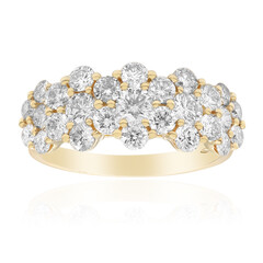 I1 (H) Brillant-Goldring (CIRARI)