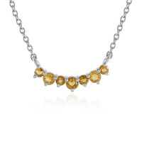 Citrin-Silbercollier