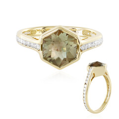Oregon-Sonnenstein-Goldring (AMAYANI)