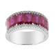 AAA-Mosambik-Rubin-Goldring (CIRARI)
