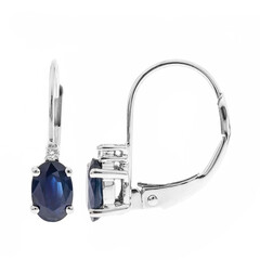 Blauer Ceylon-Saphir-Goldohrringe