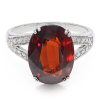Spessartin-Goldring (AMAYANI)