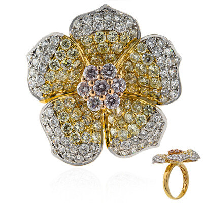 Brillant-Goldring (CIRARI)