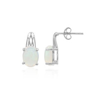 Welo-Opal-Silberohrringe