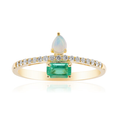 Edelstein-Goldring (CIRARI)