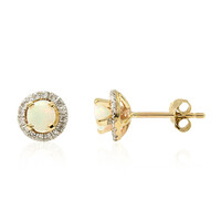 Welo-Opal-Goldohrringe
