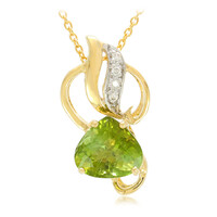Paraiba-Turmalin-Goldhalskette (AMAYANI)