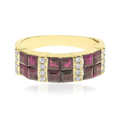 AAA-Mosambik-Rubin-Goldring (CIRARI)