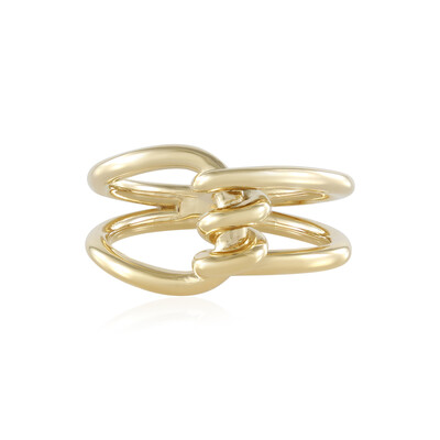 Silberring