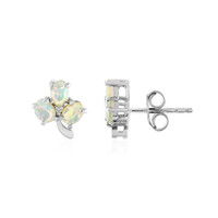 Welo-Opal-Silberohrringe