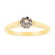 SI2 Argyle-Champagner-Brillant-Goldring (de Melo)