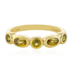 Sphen-Goldring (La Revelle)