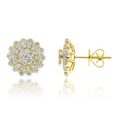 I1 (H) Brillant-Goldohrringe (CIRARI)