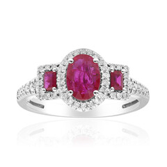 AAA-Mosambik-Rubin-Goldring (CIRARI)