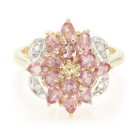 Nicht erhitzter Padparadscha-Saphir-Goldring (AMAYANI)