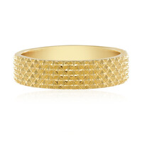 Silberring