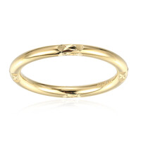 Silberring
