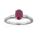 Mosambik-Rubin-Goldring (CIRARI)