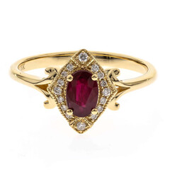 AAA-Mosambik-Rubin-Goldring (CIRARI)