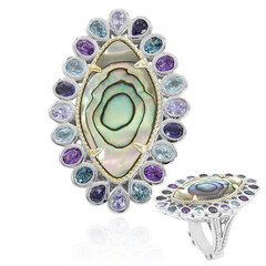 Abalone-Muschel-Silberring (Dallas Prince Designs)