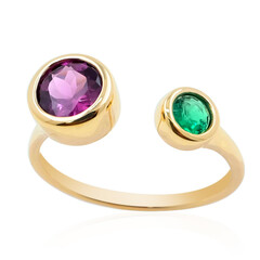 Edelstein-Goldring (de Melo)