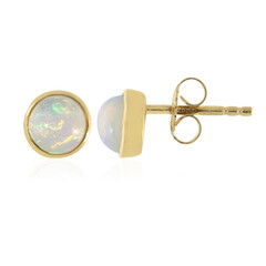 Welo-Opal-Silberohrringe
