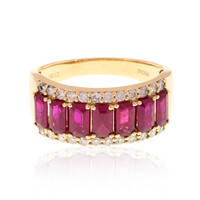 AAA-Mosambik-Rubin-Goldring (CIRARI)