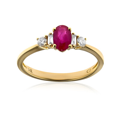 AAA-Mosambik-Rubin-Goldring (CIRARI)