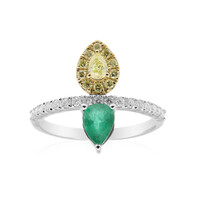 Edelstein-Goldring (CIRARI)