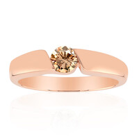 VS1 Argyle-Rose de France-Brillant-Goldring