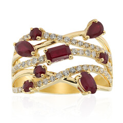 AAA-Mosambik-Rubin-Goldring (CIRARI)