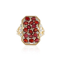 Tansania-Rubin-Goldring