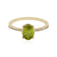 Sphen-Goldring