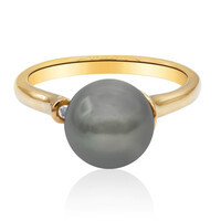 Tahitiperlen-Goldring (TPC)