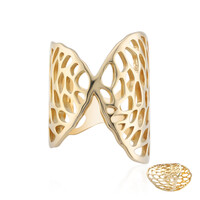 Silberring