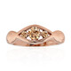 VS1 Argyle-Rose de France-Brillant-Goldring (Annette)