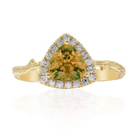 Kongo-Neon-Turmalin-Goldring (Smithsonian)