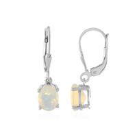 Welo-Opal-Silberohrringe