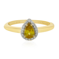 Sphen-Goldring (La Revelle)