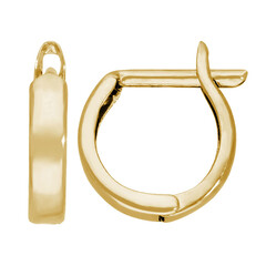 Goldohrringe