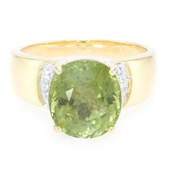 Paraiba-Turmalin-Goldring (AMAYANI)
