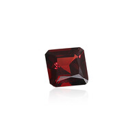 Mosambik-Granat 4,627 ct