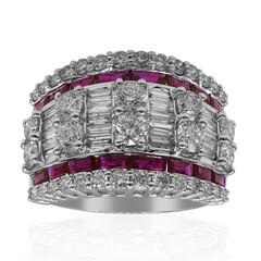 AAA-Mosambik-Rubin-Goldring (CIRARI)