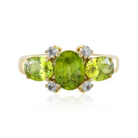 Sphen-Goldring