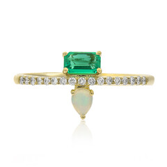 Edelstein-Goldring (CIRARI)