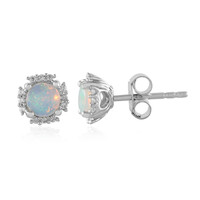 Welo-Opal-Silberohrringe