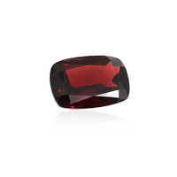 Mosambik-Granat 25,413 ct